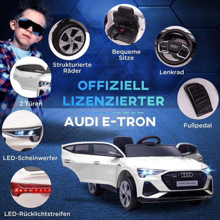 Image du produit Jamb Audi e-tron (12 V)