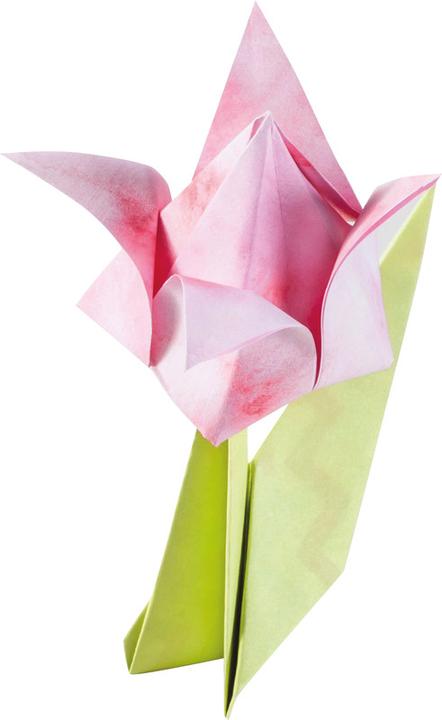 Image du produit Folia Set-flles pliage 15x15/7.5x7.5 (80 g/m², 170x)