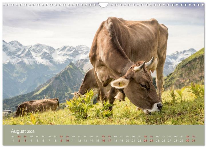 Produktbild Heimweh Allgu 2025 (Wandkalender 2025 DIN A3 quer), Monatskalender (A3)