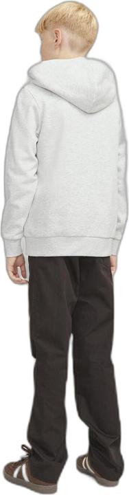 Produktbild Jack & Jones Jjecaleb Varsity Sweat Hood Noos Jnr (140)