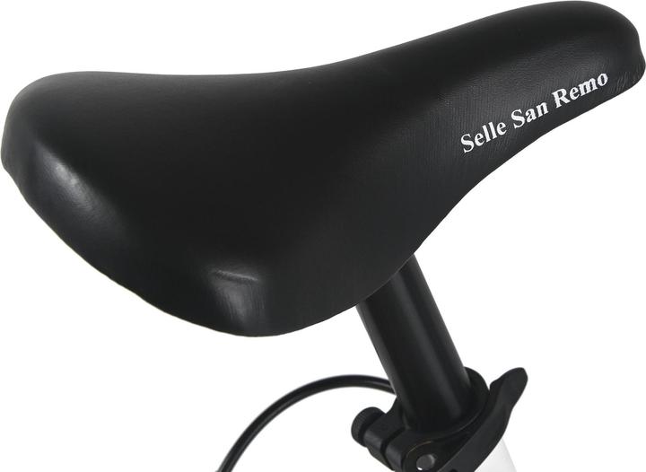 Actual product image WYLD Kinderfahrrad Girls 24" Mistral 18 Gänge RH 38 cm - Ab 8 Jahre (24")