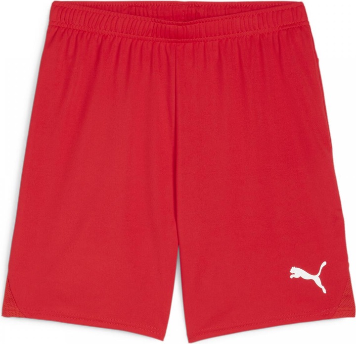 Image du produit Puma teamGOAL Short (M)