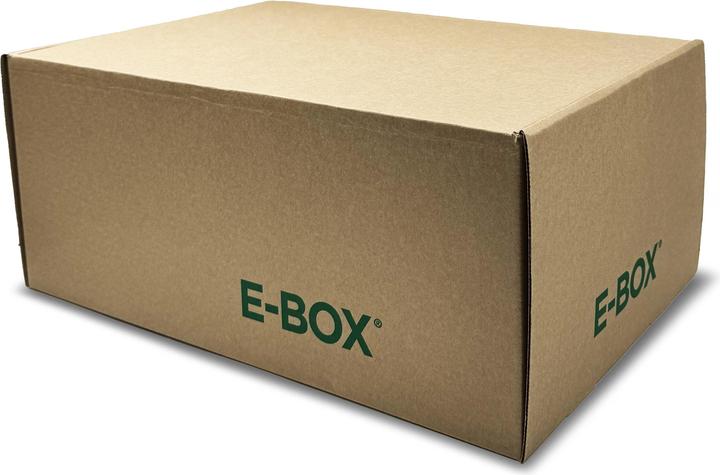 Actual product image Blasetti Pack of 10 E-Box XL boxes (48 cm)