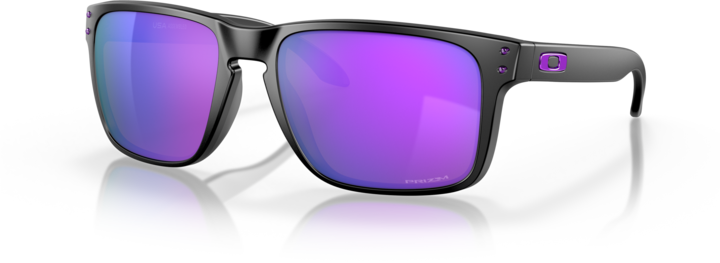 Oakley Holbrook XL