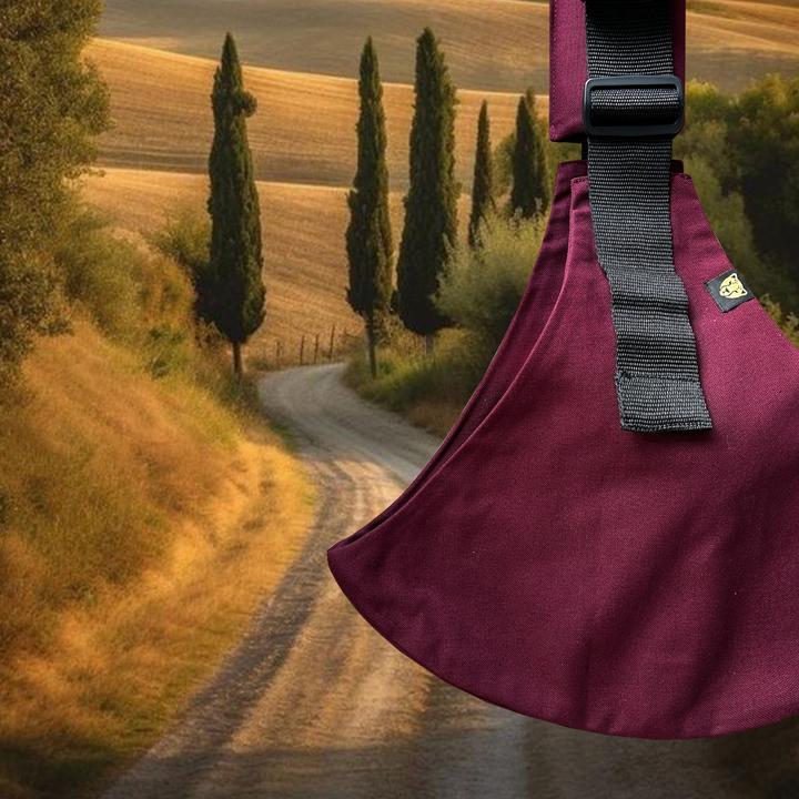 Image du produit Wildride Toddler Carrier Merlot