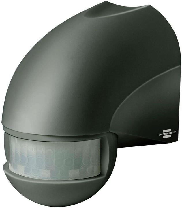 Actual product image Brennenstuhl Infrared motion detector PIR 180 IP44 anthracite 11 (12 m)