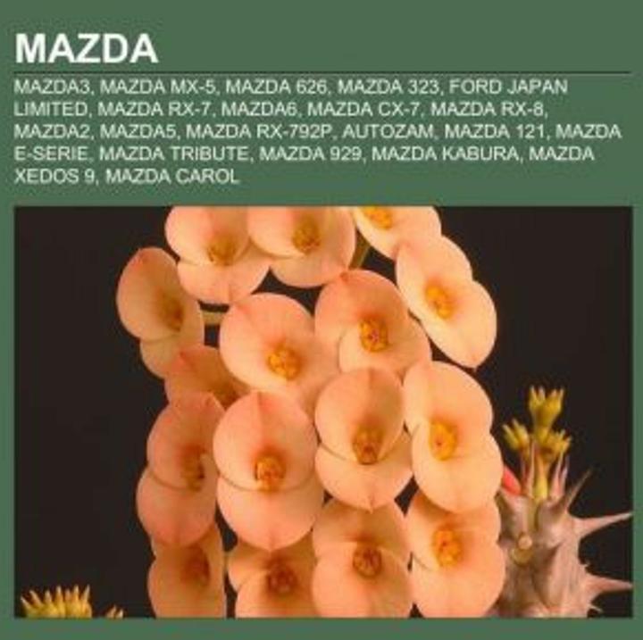 Produktbild Mazda (Deutsch, 2011)