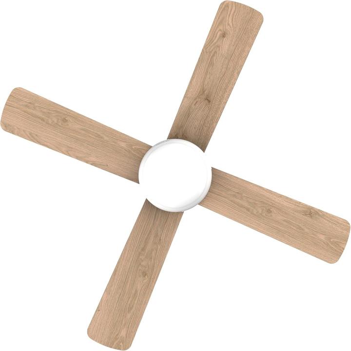 Actual product image Cecotec 05996