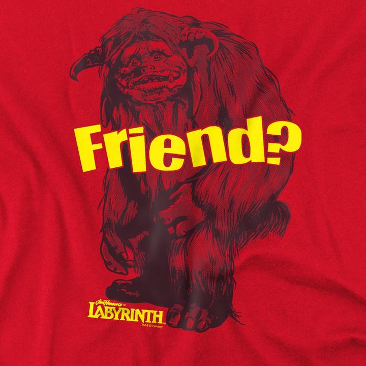 Produktbild Friend TShirt (M)