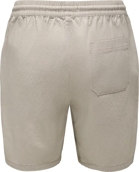 Actual product image Only & Sons Regular fit shorts Shorts (S)