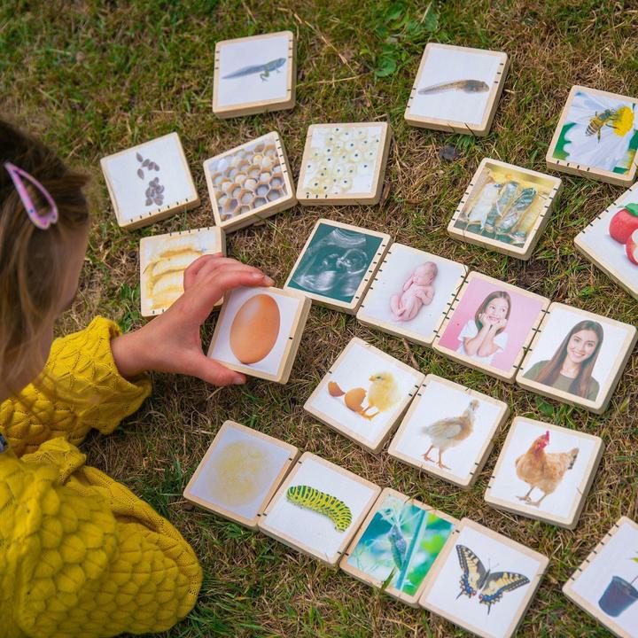 Actual product image TickiT Wooden life sequence picture tiles