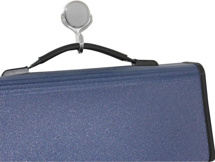 Image du produit Maul Aimant néodyme avec crochet carrousel, force d'adhérence : 50 kg (1 x)