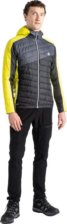Immagine prodotto Dare2b Touring Giacca Imbottita Uomo (M)
