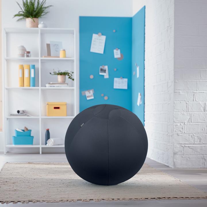 Produktbild Leitz Ergo Cosy Active Sitzball (65 cm)