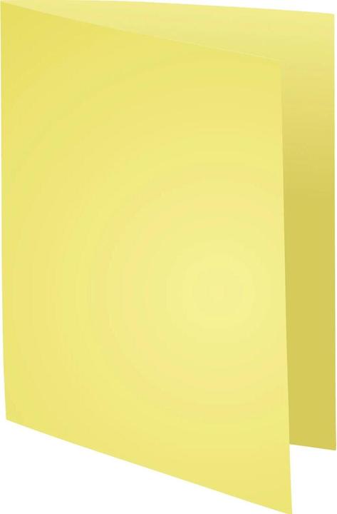 Produktbild Exacompta BAHIA 220 - Aktendeckel A4 (A4, 100x)