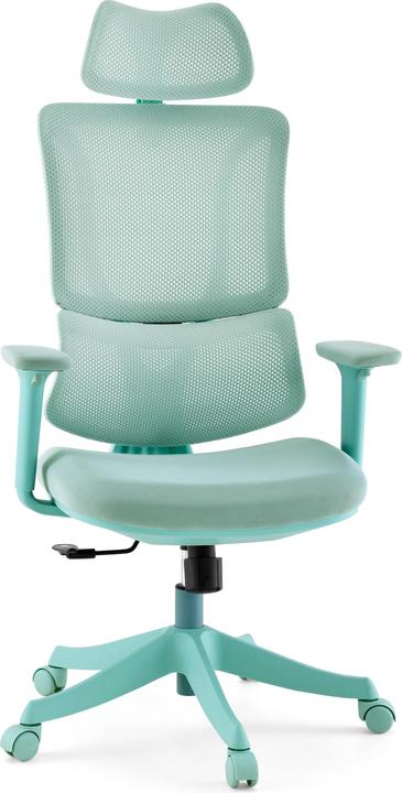 MyBuero Ergomy Colore (45 - 55 cm)