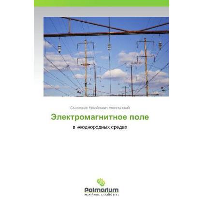 Elektromagnitnoe pole, Fachbücher von Stanislav Mikhaylovich Apollonskiy
