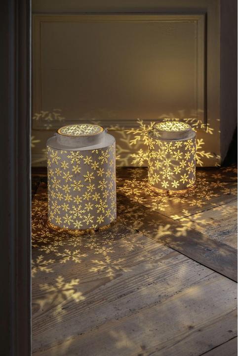 Immagine prodotto STT Aura flake