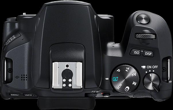 Actual product image Canon EOS 250D (18 - 55 mm, 24.10 Mpx, APS-C / DX)