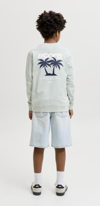 Produktbild Jack & Jones Junior Pullover CLUB SUMMER Sweatshirt (152)