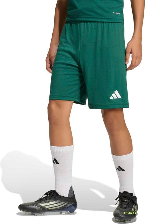 Image du produit Adidas Ent26 Sho Y - drkgrn/white (164)