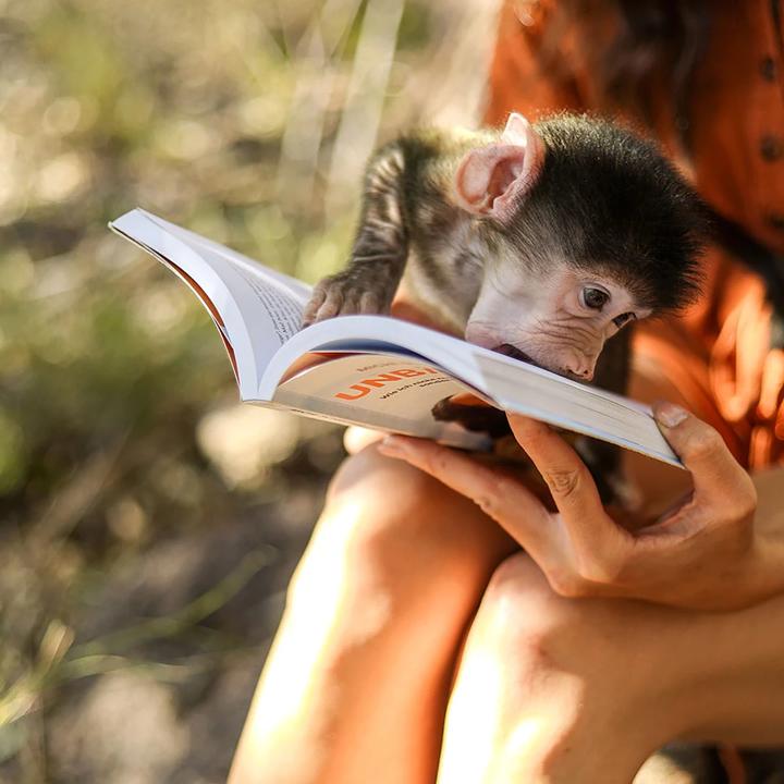 Actual product image Unbändig (German, Michi Schreiber, 2022)