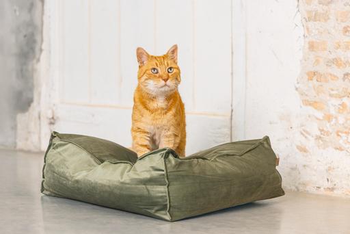 Actual product image Designed by Lotte Cat cushion Velveti (Cat)