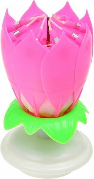 Produktbild GoDan Blumenkerze mit Musik