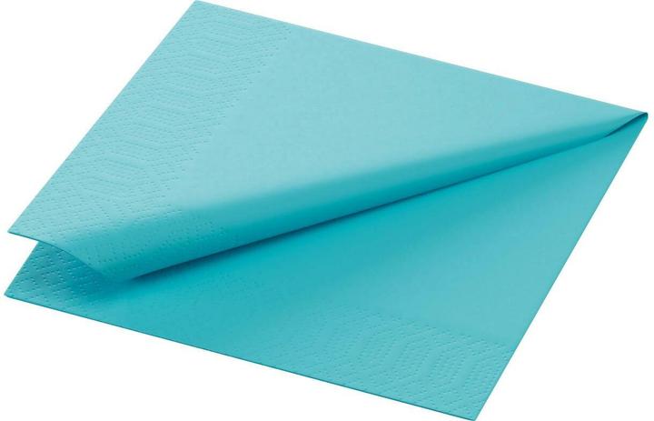 Image du produit Duni Servir (250 pcs, 24 x 24 cm)