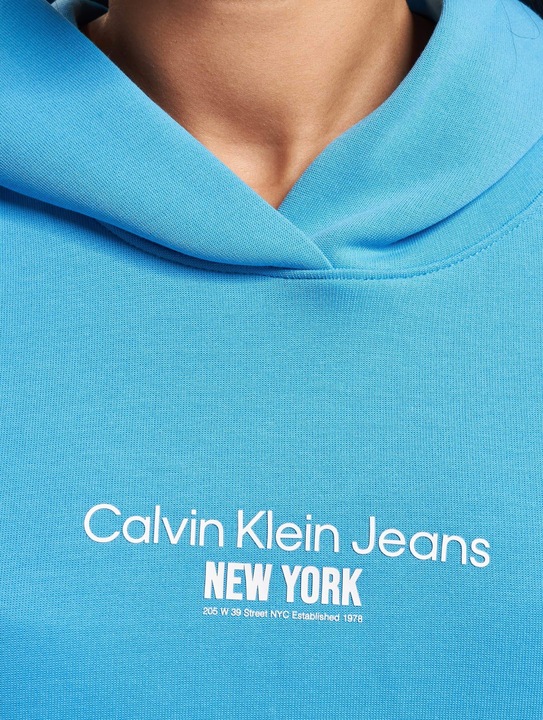 Actual product image Calvin Klein Jeans Rib Insert Interlock Hoodie - 89179 (S)
