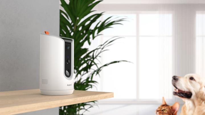 Actual product image Arenti Petcam (2048 x 1536 pixels)