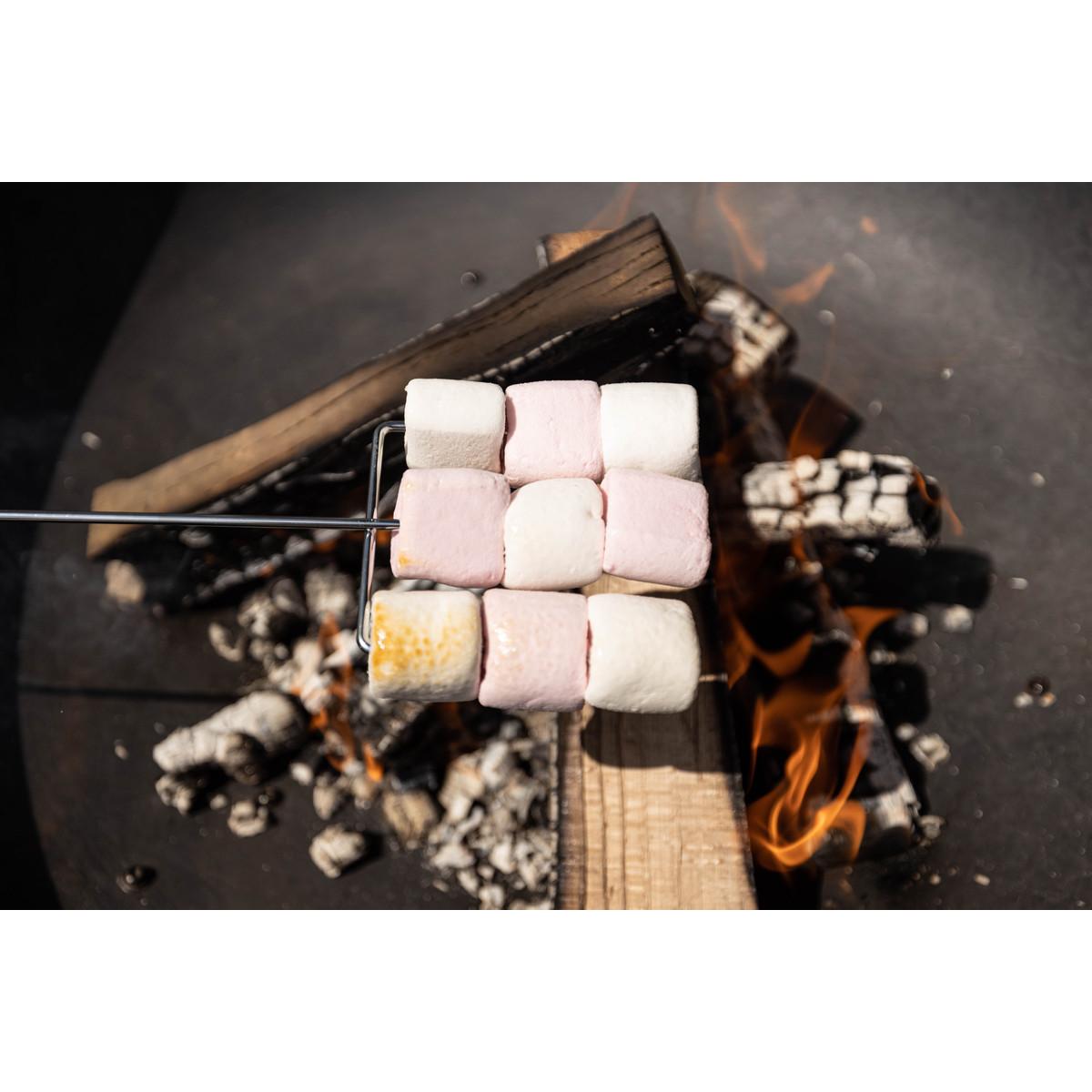 FISHOAKY Grillspiesen, uittrekbare spiesen, 2 stuks, roestvrij staal, houten handvat, lang kampvuur, telescopische uittrekbare sjasliekspiesen, vleesvork, wordt gebruikt voor grillen, kampvuur en
