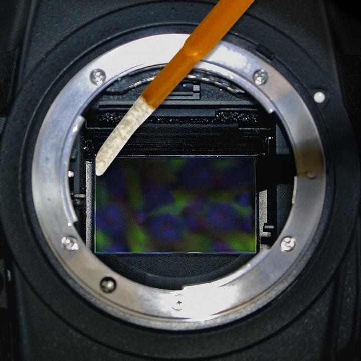 Produktbild Visible Dust DHAP V-Swab