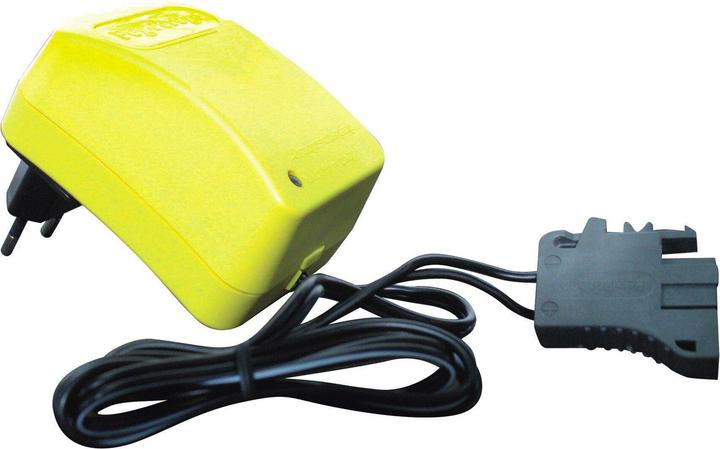 Actual product image Peg Perego Toys Charger (24 V)