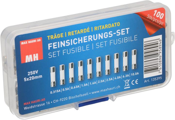 Productafbeelding Max Hauri Fijndraads zekeringsset (0.50 A)