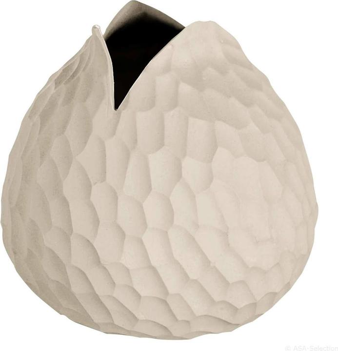 Image du produit ASA Selection nature (1x)