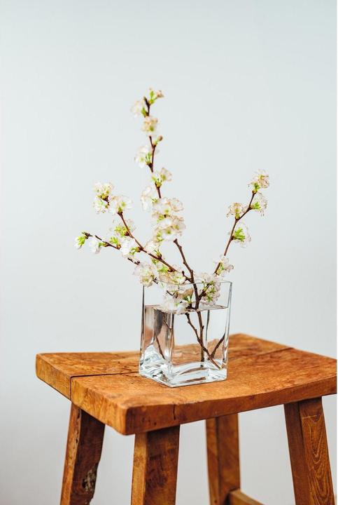Produktbild Montana Furniture Flower (1 x, 16 x 9 x 11 cm, 0.55 l)