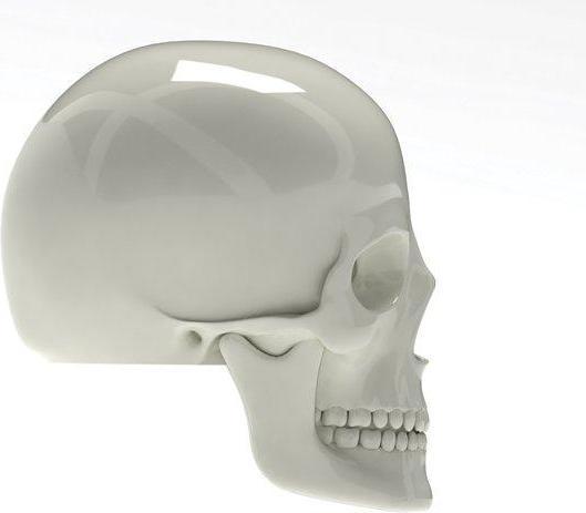 Image du produit Luckies Bouchons de valve tête de mort