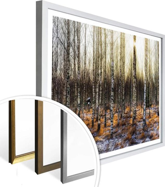 Image du produit Trenddeko Soleil dans la forêt de bouleaux (50 x 40 cm)