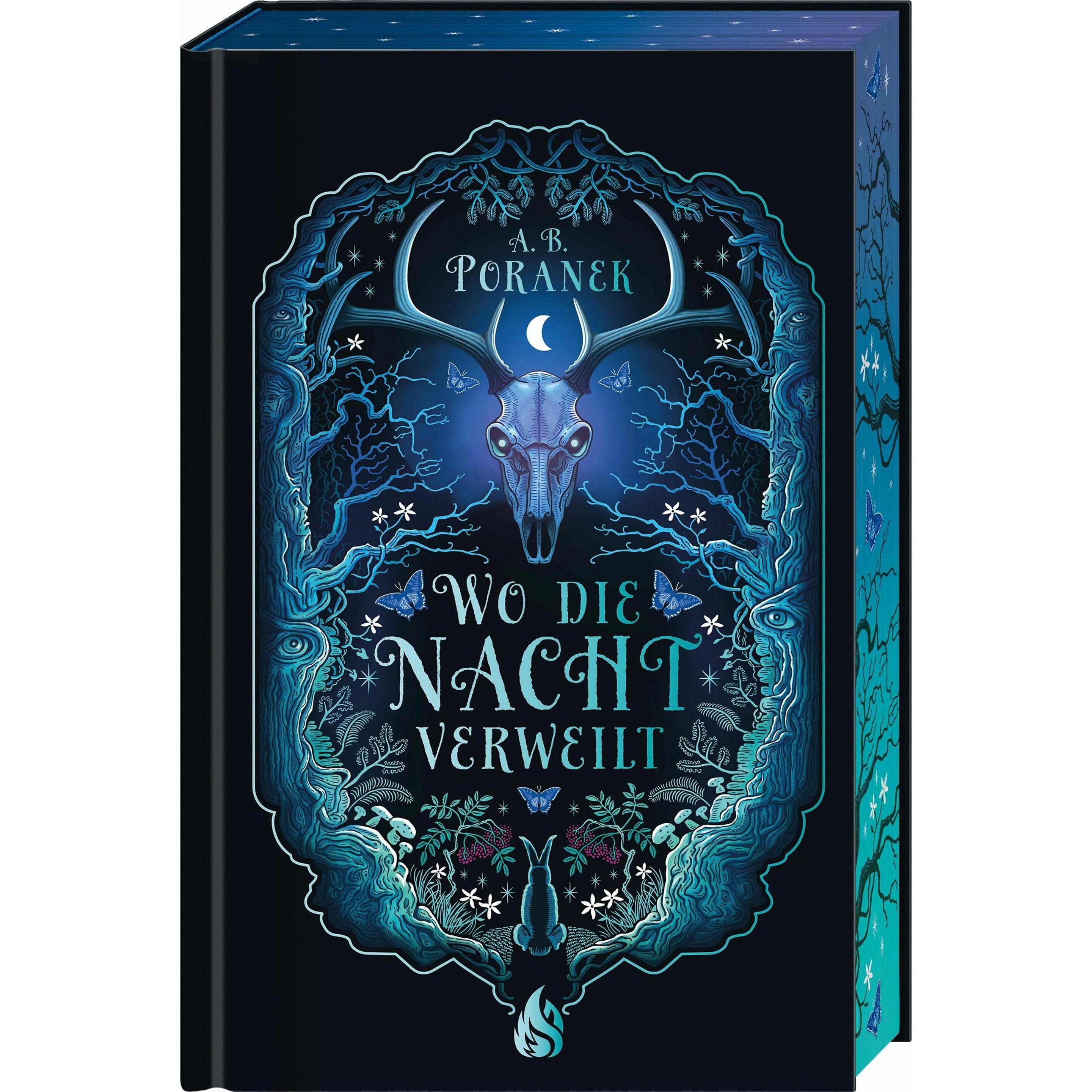 Poranek:Wo die Nacht verweilt, Kinderbücher von A. B. Poranek