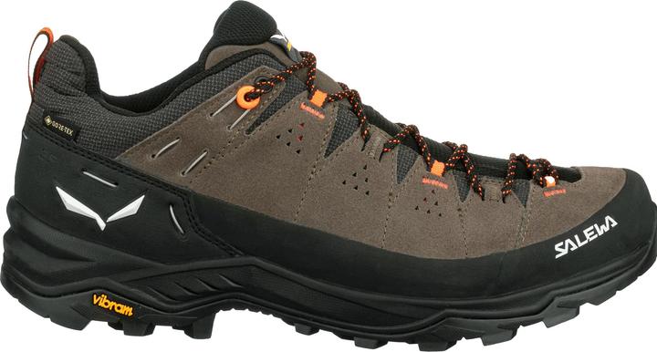 Actual product image Salewa Alp Trainer 2 Gore-Tex® Shoe (41)