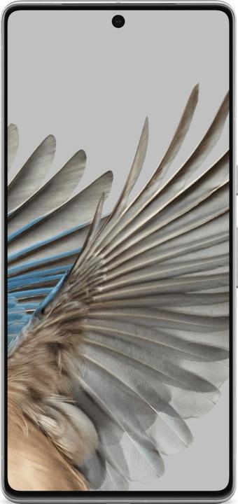 Produktbild Google Pixel 7 Pro (256 GB, Weiss, 6.70", SIM + eSIM, 50 Mpx, 5G)