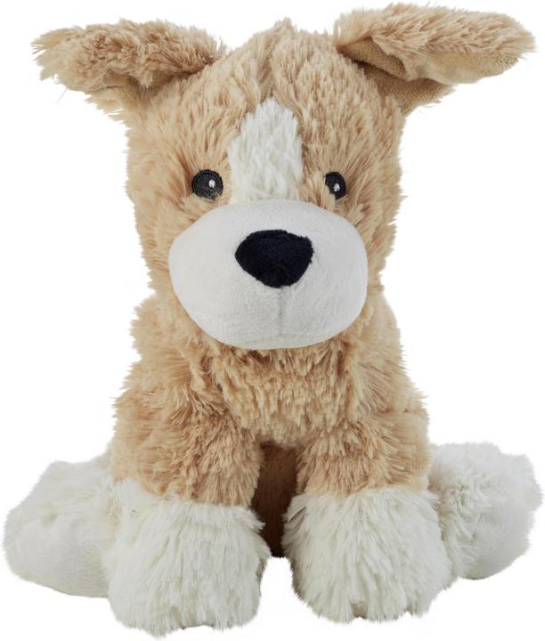 Actual product image Warmies puppy