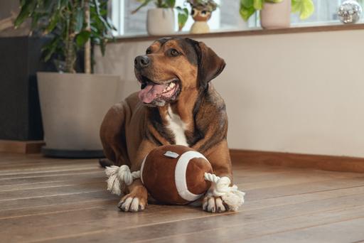 Image du produit Beeztees Hundespielzeug Pary tier (Jouet en peluche chien)