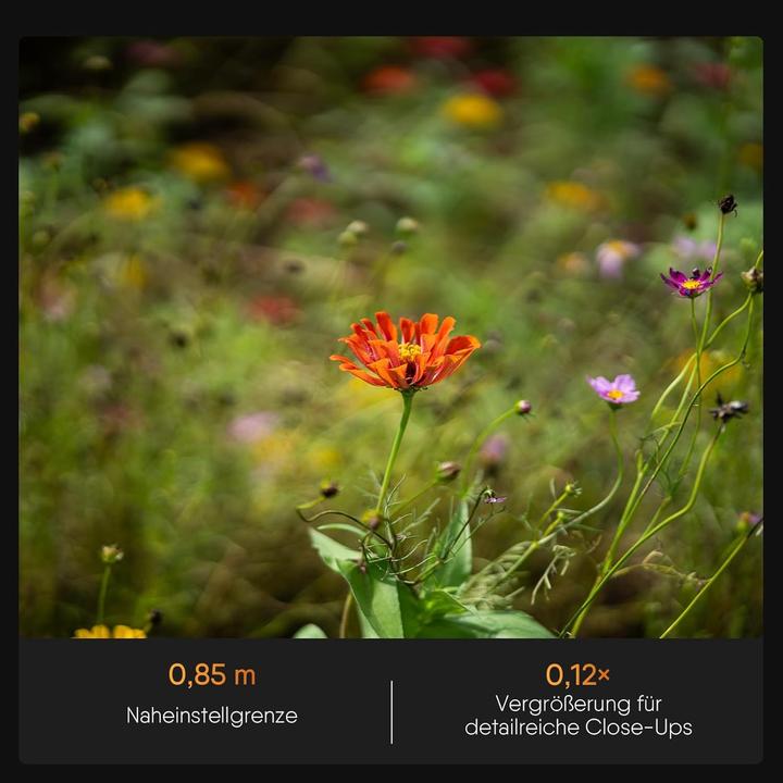 Produktbild Rollei AF 85 mm F/1.8 Nikon Z- Mount (Nikon Z, APS-C / DX, Vollformat)