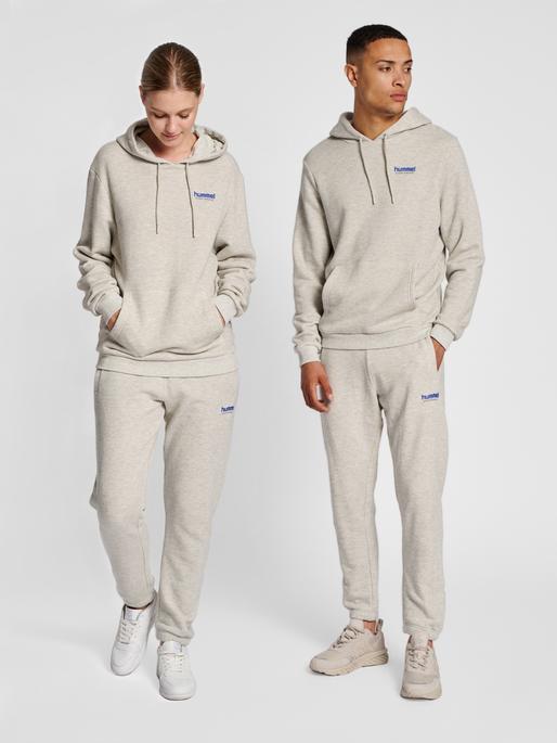 Image du produit hummel Lgc Austin Hoodie (L)
