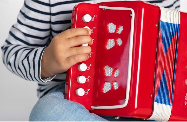 Actual product image Boogie Bee accordion 7 keys (German, French, English, Italian)