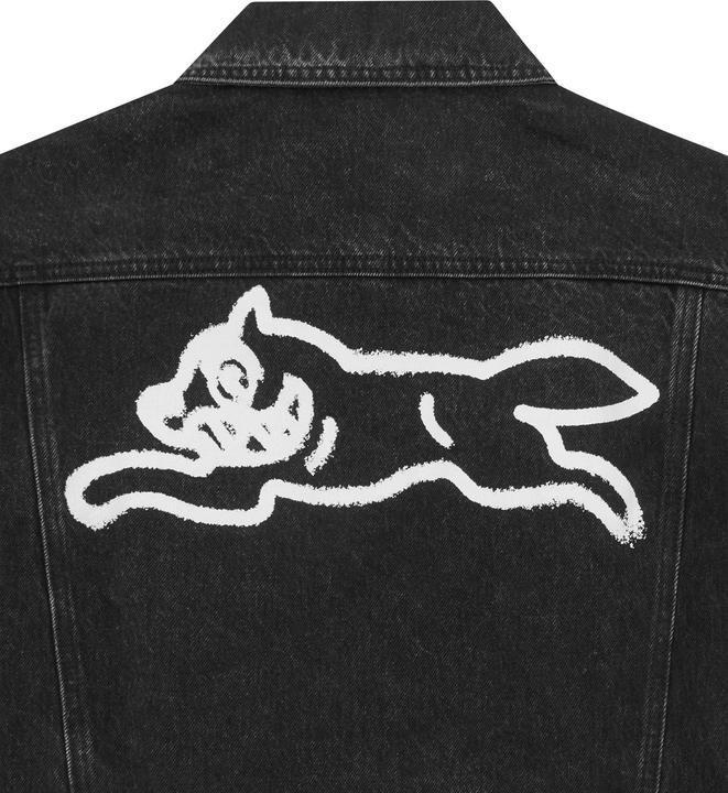 Actual product image Icecream Trucker Spray Paint Dog (M)