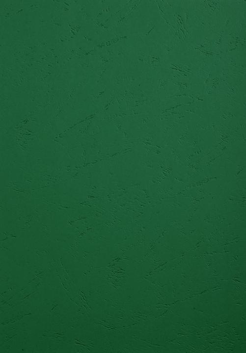 Image du produit Exacompta Couverture 2798C texture cuir A4, 270 g/m2, vert, boîte de 100