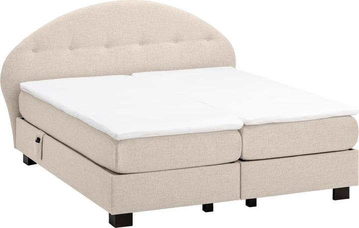 Membre Beige 05